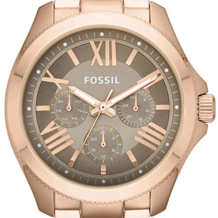 Fossil Cecile Multifunction Rose Gold-Tone Brown AM4533 Womens Watch