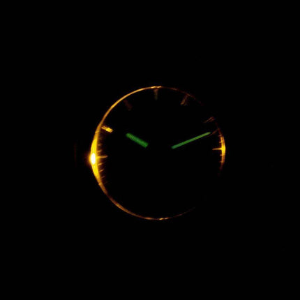 Casio Analog Digital Telememo Illuminator AW-80D-2AVDF AW-80D-2AV Mens Watch