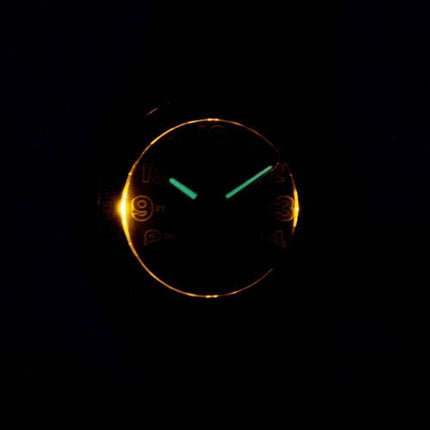 Casio Analog Digital Telememo Illuminator AW-80V-1BVDF AW-80V-1BV Mens Watch