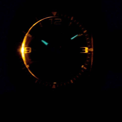 Casio Analog Digital Telememo Illuminator AW-81-1A1VDF AW-81-1A1V Mens Watch