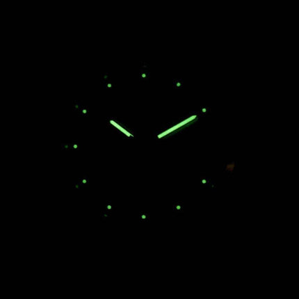 J.Springs by Seiko Automatic 21 Jewels Japan Made BEB509 Men's Watch