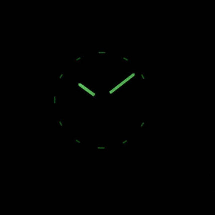 J.Springs by Seiko Automatic 21 Jewels Japan Made BEB578 Men's Watch