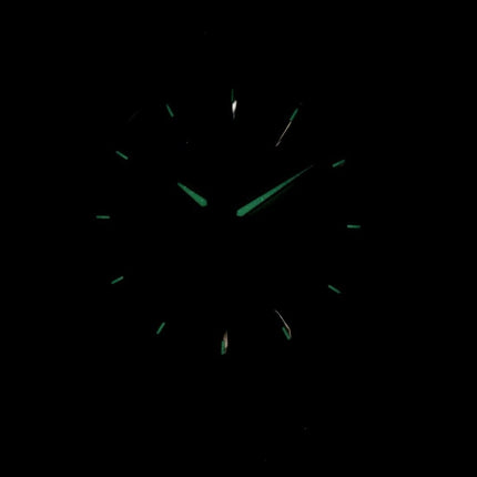 Citizen Quartz BF2013-56P Men's Watch