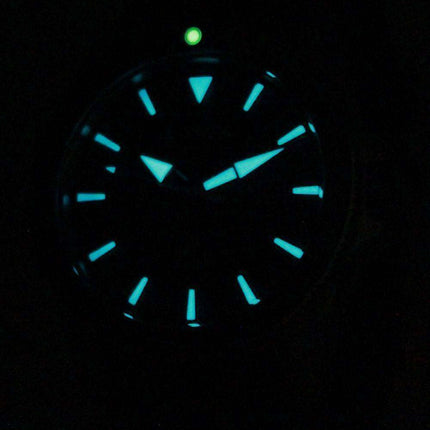 Citizen Eco-Drive Promaster Diver BN0100-34L Mens Watch