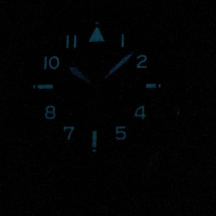 Citizen Promaster Nighthawk BX1010-02E World Time Eco-Drive 200M Men's Watch