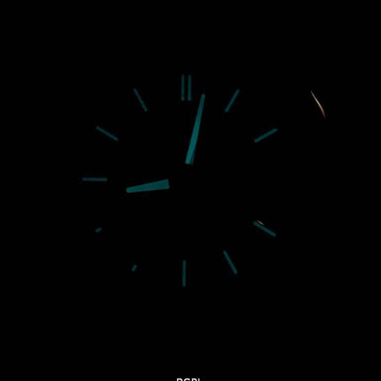 Citizen Eco-Drive Satellite Wave World Time Japan Made CC3007-55E Men's Watch