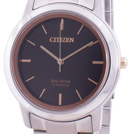 Citizen Eco-Drive Titanium FE7024-84E Women's Watch