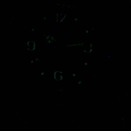 ICE Forever Extra Small Quartz 000789 Childrens Watch