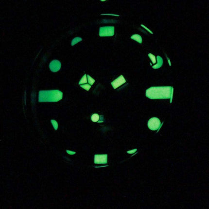 Citizen Aqualand Diver Depth Meter Promaster JP1010-00L JP1010 Watch
