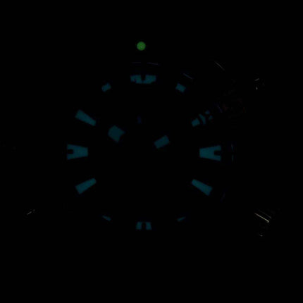 Citizen Aqualand Promaster Divers 200M Analog Digital JP1090-86X Mens Watch