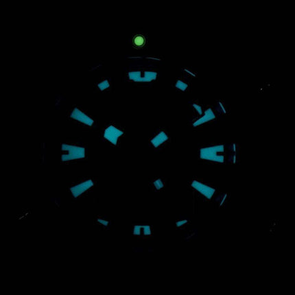 Citizen Aqualand Promaster Divers 200M Analog Digital JP1098-17E Mens Watch