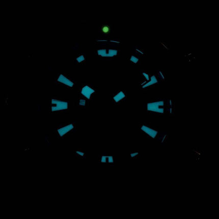 Citizen Aqualand Promaster Divers 200M Analog Digital JP1099-81L Mens Watch