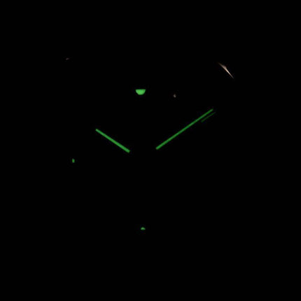 Seiko Quartz Analog SGEE41 SGEE41P1 SGEE41P Men's Watch