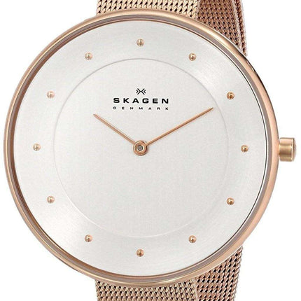 Skagen Silver Dial Rose Gold-Tone Mesh Bracelet SKW2142 Womens Watch