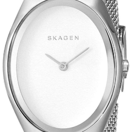 Skagen Madsen Matte Silver Dial Stainless Steel Mesh Bracelet SKW2297 Womens Watch