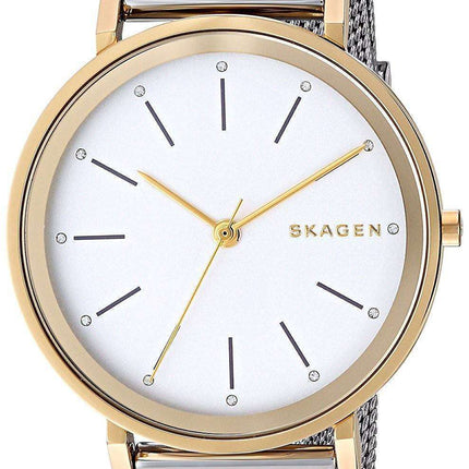 Skagen Hald Quartz SKW2508 Women's Watch