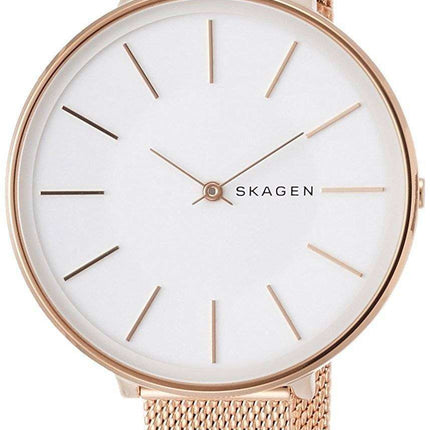 Skagen Karolina Quartz SKW2688 Women's Watch