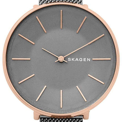 Skagen Karolina Quartz SKW2689 Women's Watch