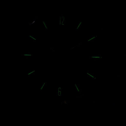 Skagen Melbye Titanium Case with Mesh Band SKW6007 Mens Watch