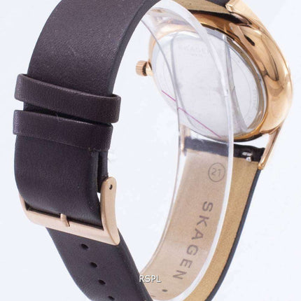 Skagen Holst Analog Quartz SKW6395 Men's Watch