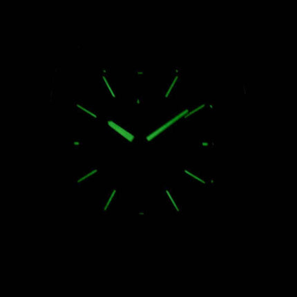 Seiko Quartz Alarm Chronograph Tachymeter SNAC29 SNAC29P1 SNAC29P Men's Watch