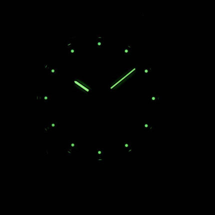 Seiko Solar SNE041 SNE041P1 SNE041P Men's Watch