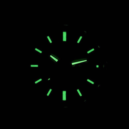 Seiko Solar SNE175 SNE175P1 SNE175P Men's Watch