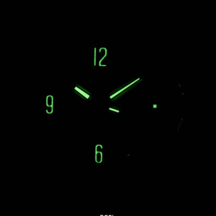 Seiko Solar SNE210 SNE210P1 SNE210P Men's Watch
