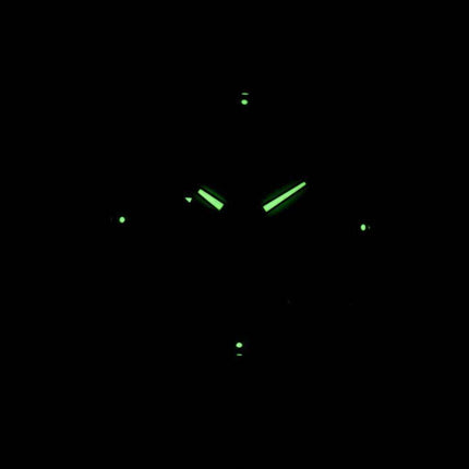 Seiko Solar SNE216 SNE216P1 SNE216P Men's Watch