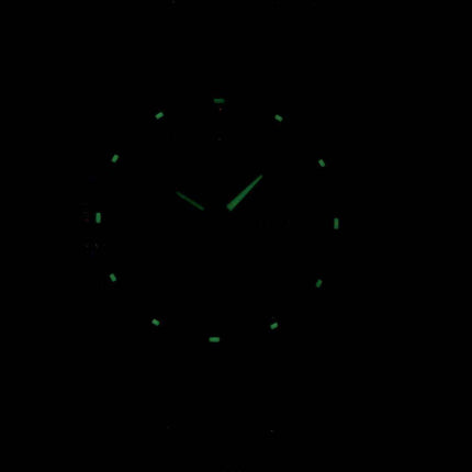 Seiko 5 Automatic Japan Made SNKN89 SNKN89J1 SNKN89J Men's Watch