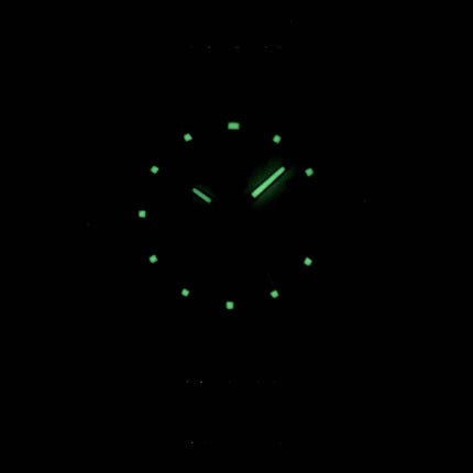 Seiko 5 Automatic Japan Made SYMB93 SYMB93J1 SYMB93J Women's Watch