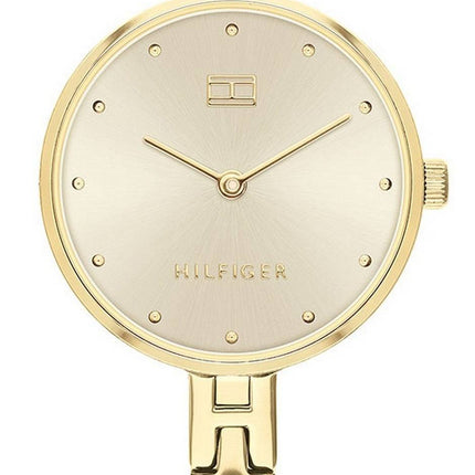 Tommy Hilfiger Kit Gold Tone Dial Stainless Steel Quartz 1782135 Women's Watch