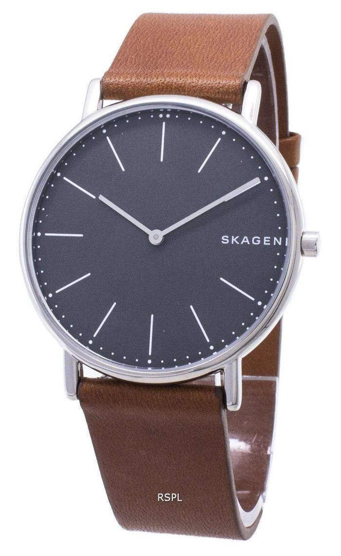 Skagen Signatur SKW6429 Quartz Analog Men's Watch
